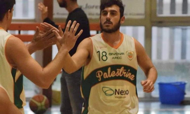 C Gold - Palestrina alza il sipario: al via oggi la nuova stagione