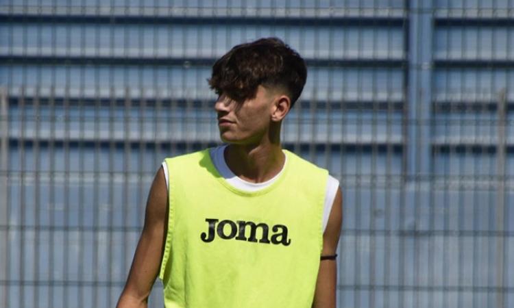 Perrotta
