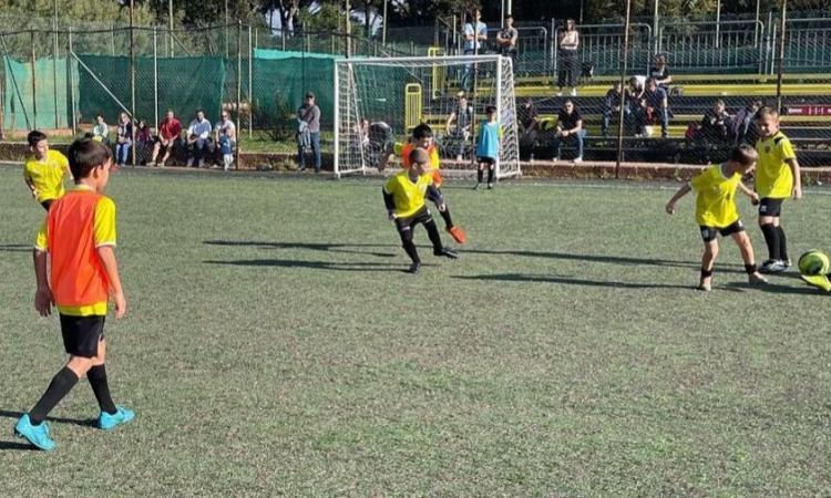 Scuola Calcio Indomita Pomezia