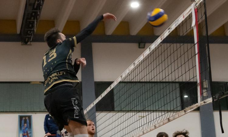 D - Lions Latina senza più aggettivi: arriva la 25ª di fila