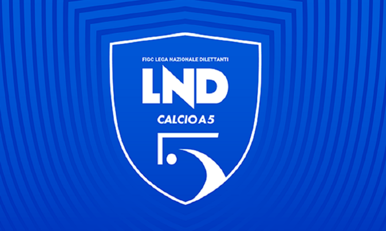 Divisione Calcio a 5 