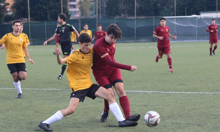 Under 19 Elite, verso i playoff: la situazione a 5 giornate dalla fine