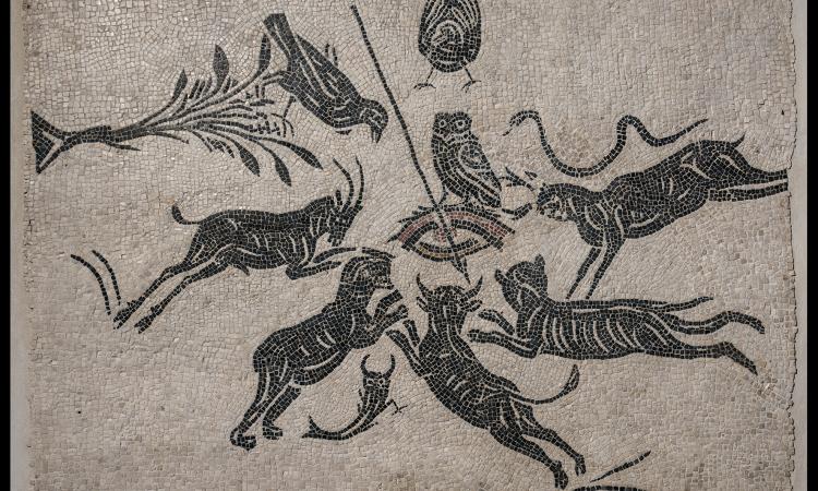 Centrale Montemartini,  mostra dei mosaici "Colori dei Romani"