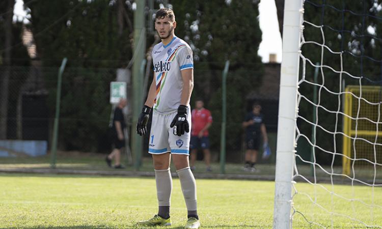 Vilardi