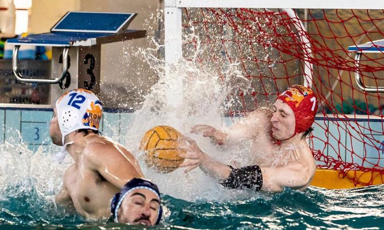 A2 - Roma Vis Nova, 19ª di fila: play off nel mirino