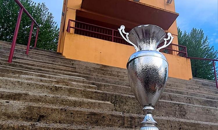 La coppa