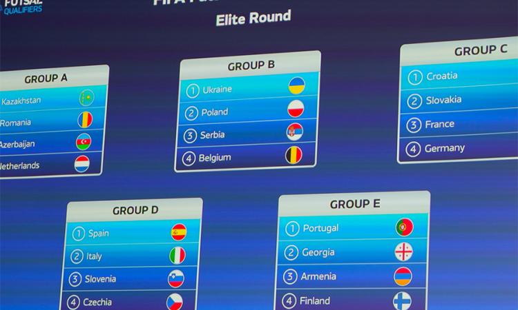 Italia inserita nel gruppo D