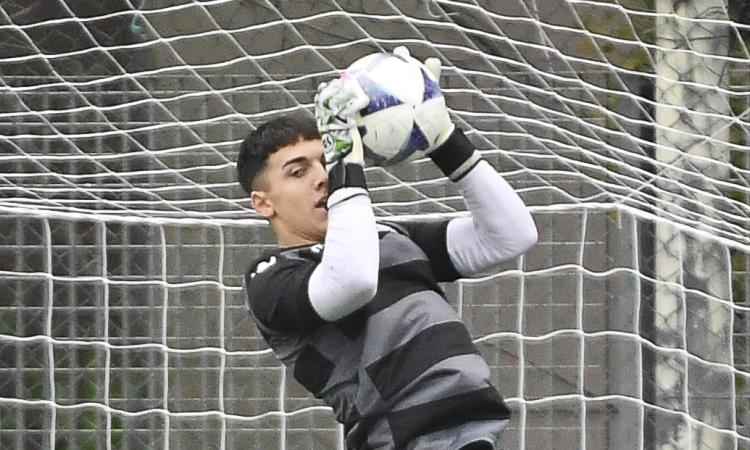 Red Tigers, due volti nuovi per Fazi: arrivano Alessandro Pizzuti e Valerio Trillo