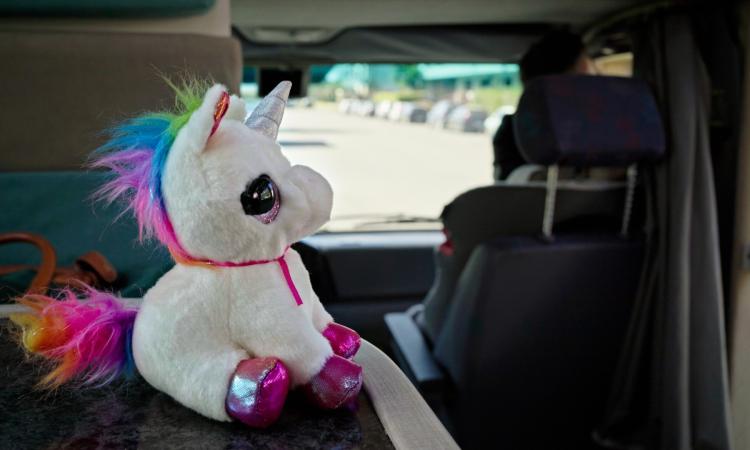 Hai mai visto un unicorno? Fari sulla SMA a Palazzo Merulana