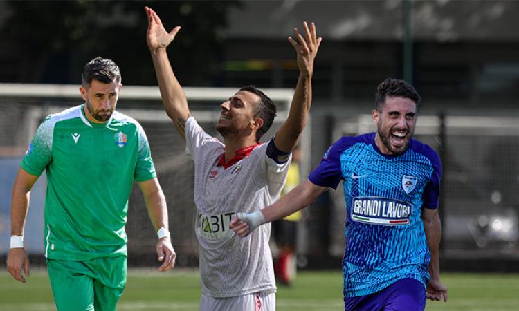 Prioteasa, Picci, Bellante