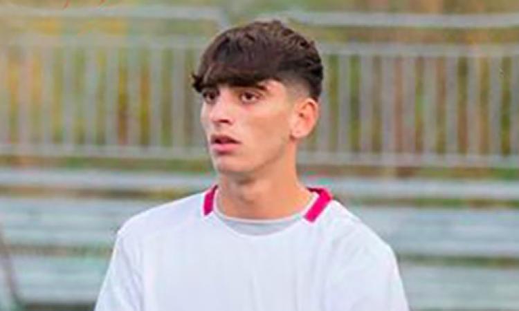 Perrotta