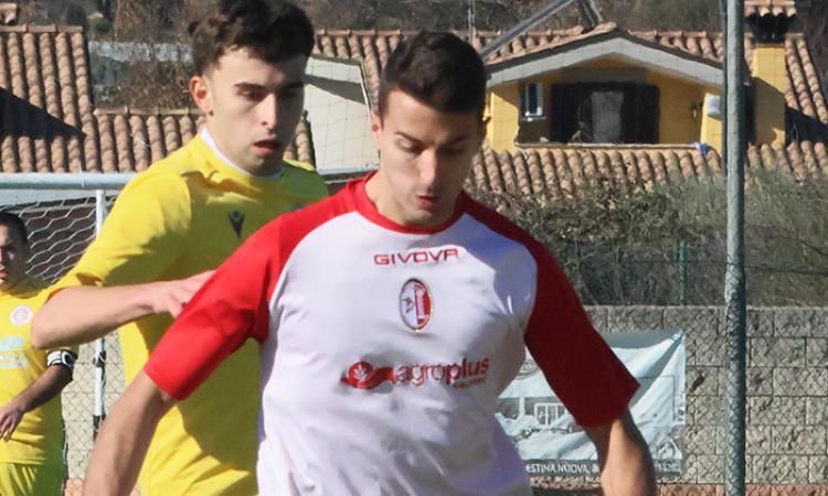 Martinoli