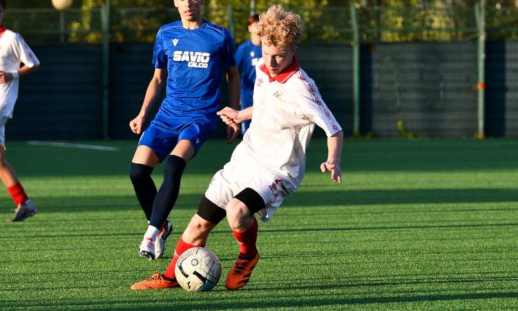 Red Tigers: dopo le conferme, arriva un poker di innesti per Di Stefano
