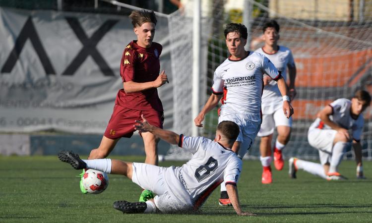 Giovanili Elite e Regionali: gli organici dei campionati dall'Under 17 all'Under 14