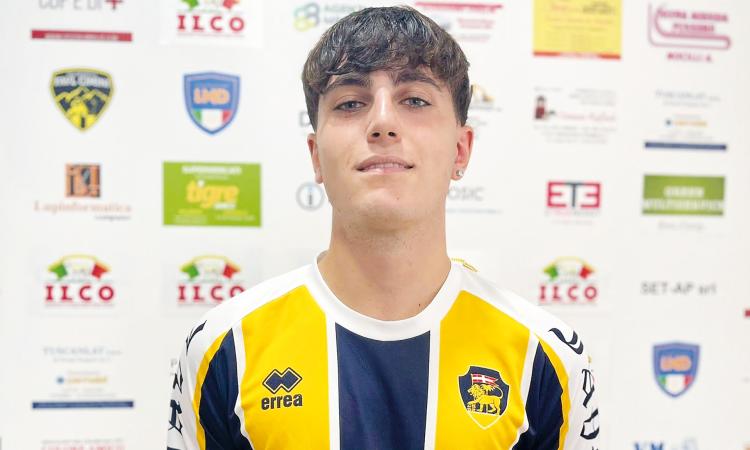 Orlandi
