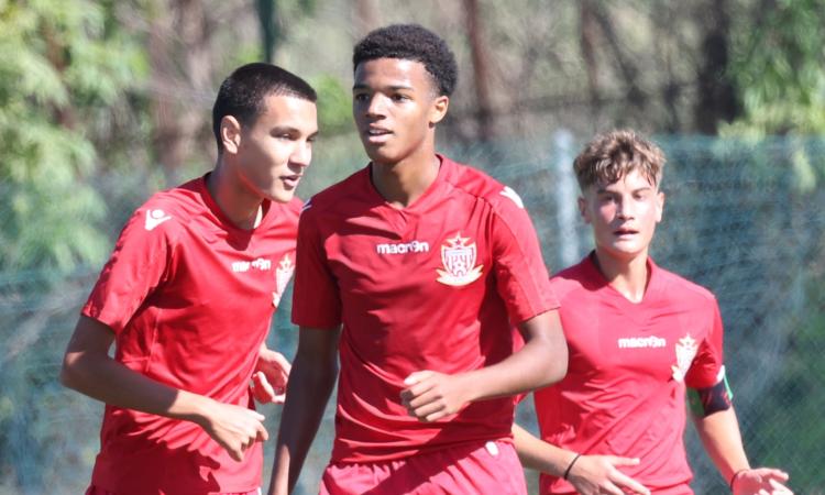 Red Tigers, passo da finali: Di Stefano e company si iscrivono alla corsa