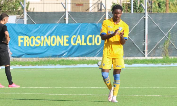 Dixon, Frosinone