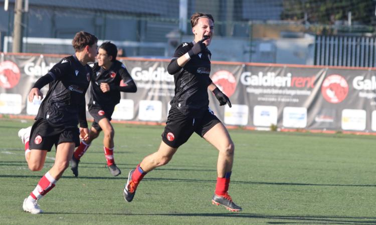 Playoff in palio: Red Tigers e Pomezia si preparano al rush finale del campionato