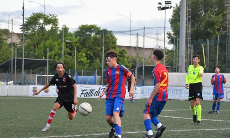 Botta e risposta tra Vigor Perconti e Red Tigers, Asante replica a Mariotti
