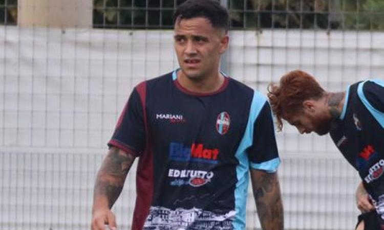 Criscuolo