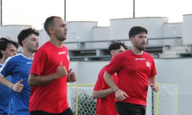 Sporting Pontecorvo, Mandarelli: "Spiazzati dal ripescaggio, ma siamo pronti"