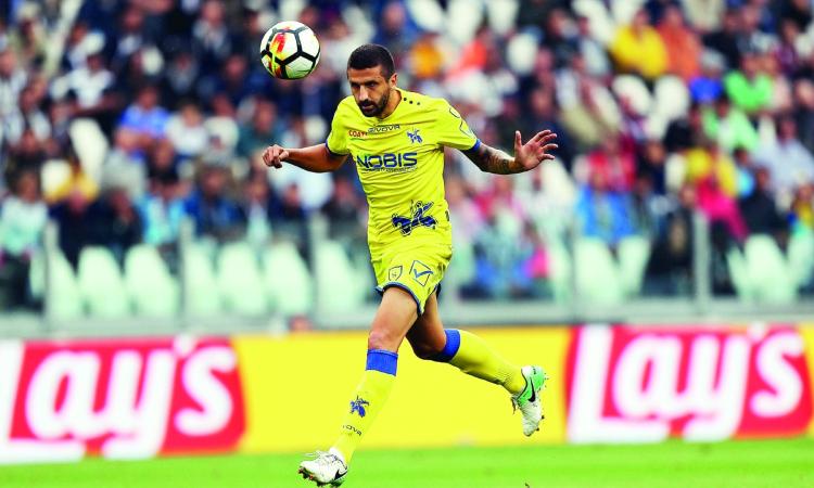 Alessandro Gamberini, qui con la maglia del Chievo (Foto ©Maltinti)