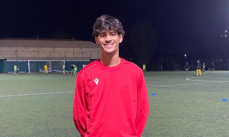 Castelli Romani, Rosato: "