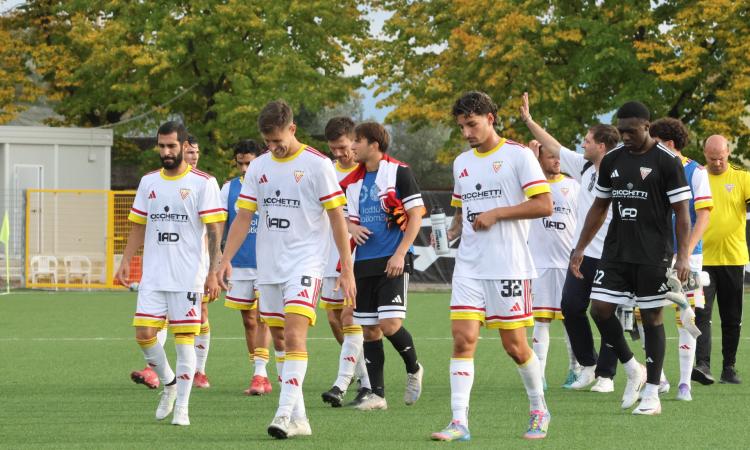 Giudice sportivo: un allenatore squalificato per due turni