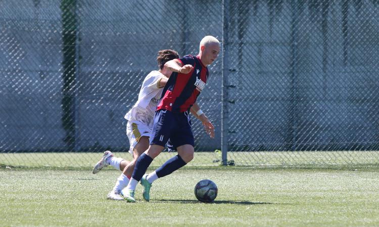 Sorianese, Spolverini