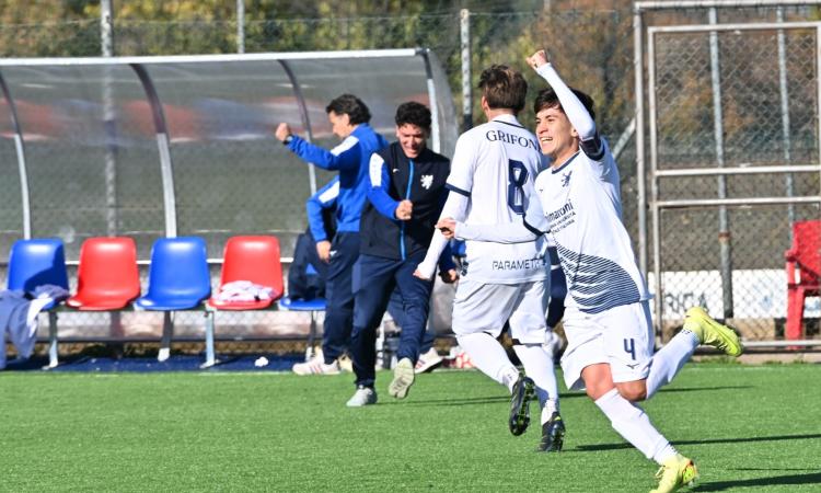 Grifone 6 unico. Vecchia, che tonfo! Boreale e Vigor di misura
