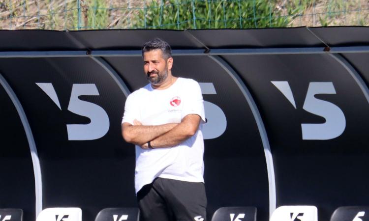 La Red Tigers e la sua capacità di reagire: idee di gioco e carattere