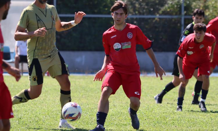 Lanuvio Campoleone, Vitolo