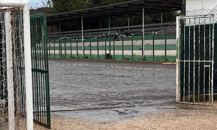 Campo Andriollo &copy;Alessio Privato