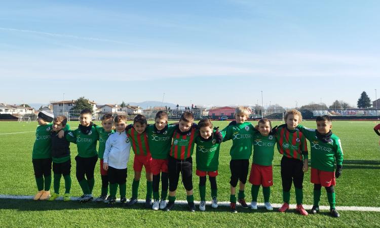 Real Vis Artena, Cioeta: "Gruppo numeroso e partecipativo"