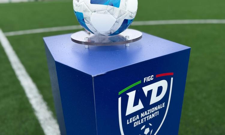 Torneo delle Regioni