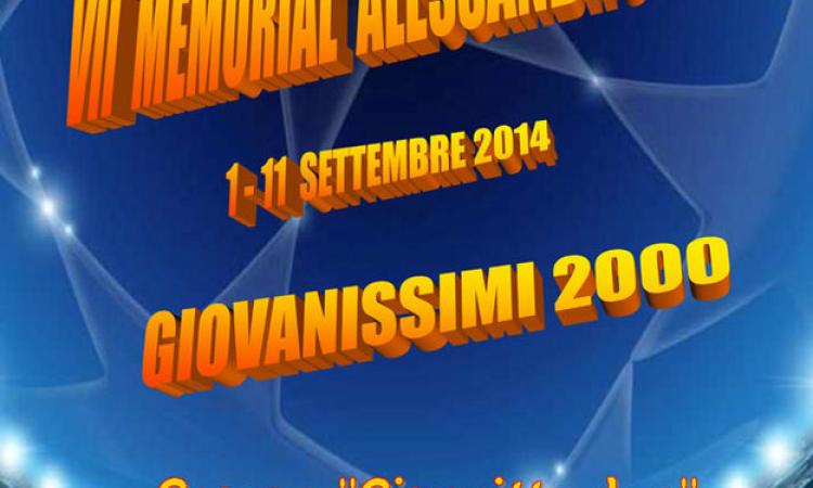 La locandina della settima edizione © Associazione Alessandro Bini