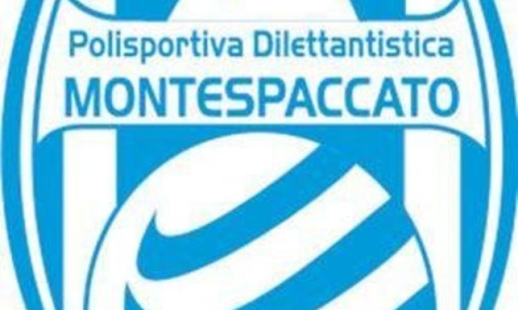 Il dirigente responsabile della prima squadra, Valerio Gambacurta, tranquillizza: "I colpi di mercato arriveranno"