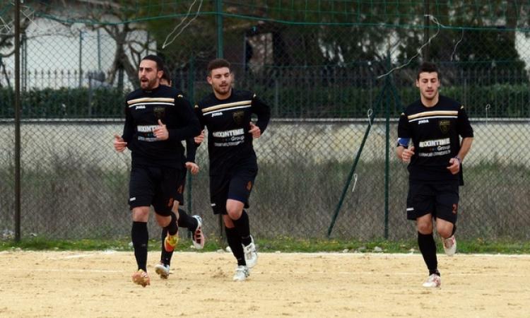 Il Pontinia in una foto della scorsa stagione