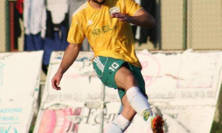 Matteo Lisi