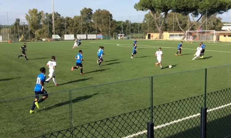 Grifone e Villanova in azione