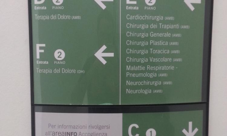 “Perché nessuno mi ha detto che esistete?” La terapia del dolore, la legge 38/2010 e la conversazione con la dottoressa Lazzari 