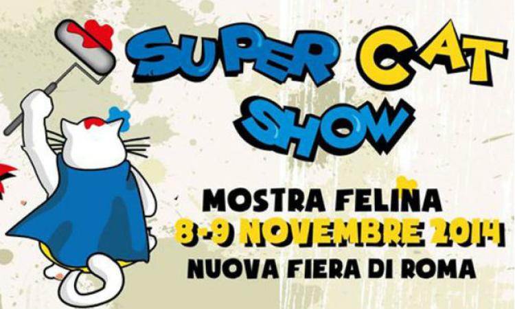 Supercat Show 2014, "sua maestà" il gatto torna protagonista