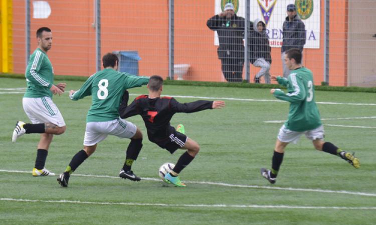 Natalucci salva la Fortitudo contro il Certosa