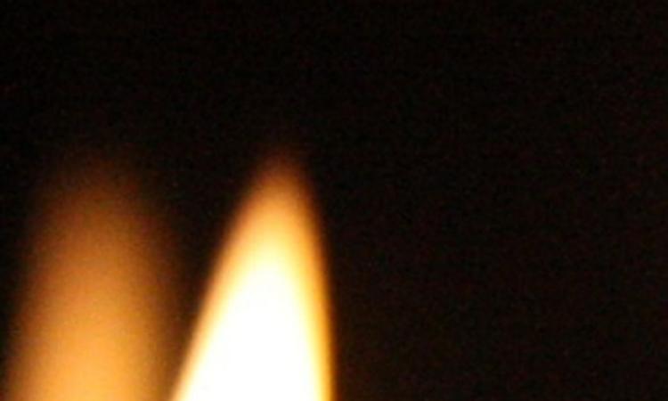 Dal 23 gennaio al 3 febbraio il Festival delle Memorie