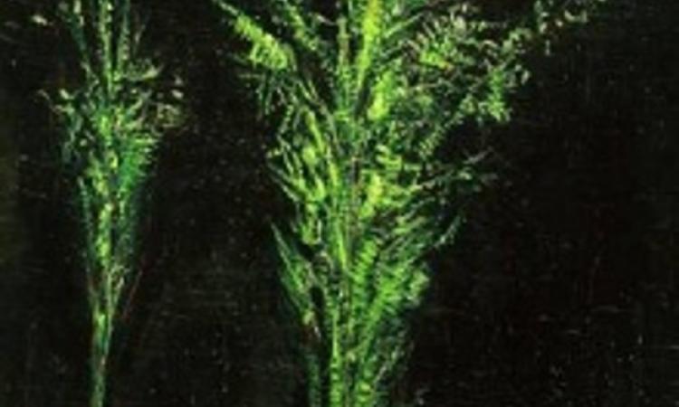 Al Museo Bilotti le opere di Claudio Palmieri