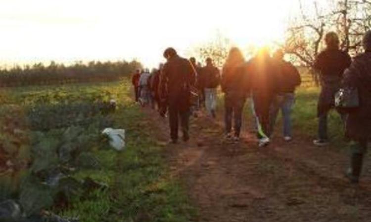 "Coltiva il tuo futuro": seminari gratis per giovani aziende agricole