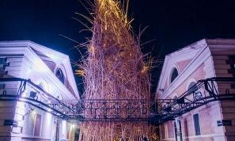 Roma saluta "Big Bambù", la casa-albero dei gemelli Starn