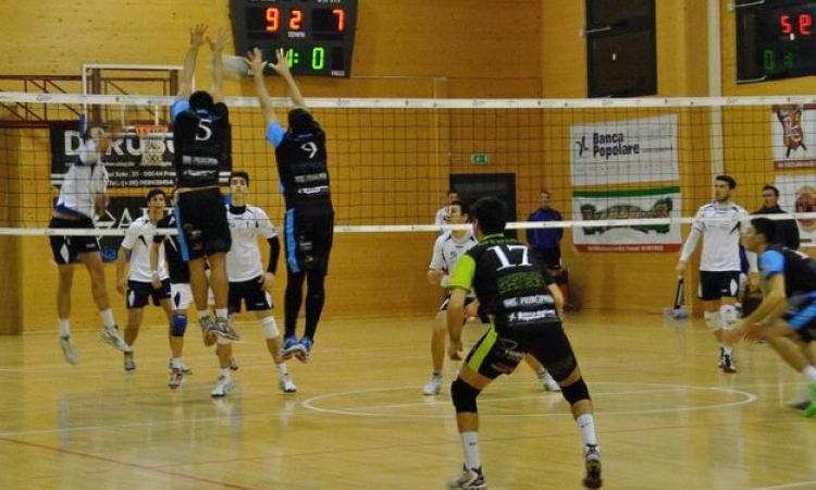 Monteporzio Sharks