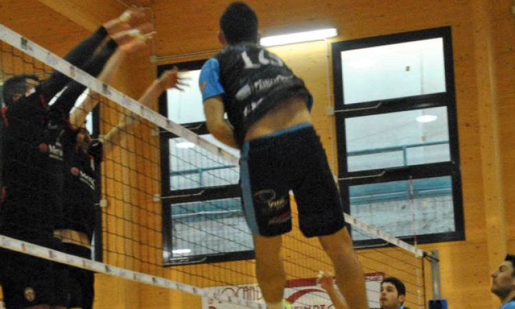 B2 - Casalese (Sharks):"Grande traguardo, anche se a un certo punto pensavo potessimo ambire a un miglior piazzamento".