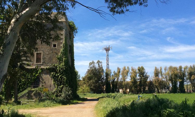 La Torre Primavera a Maccarese